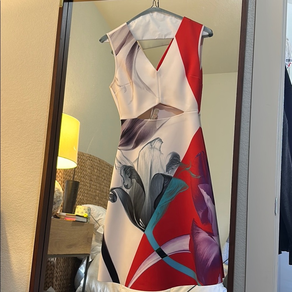 Clover Canyon Dress